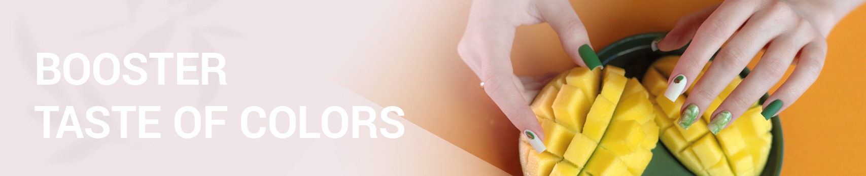 Novinky_banner_Platinum_TasteOfColors 1